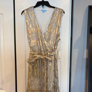 Draper James Gold and Silver Midi Dress